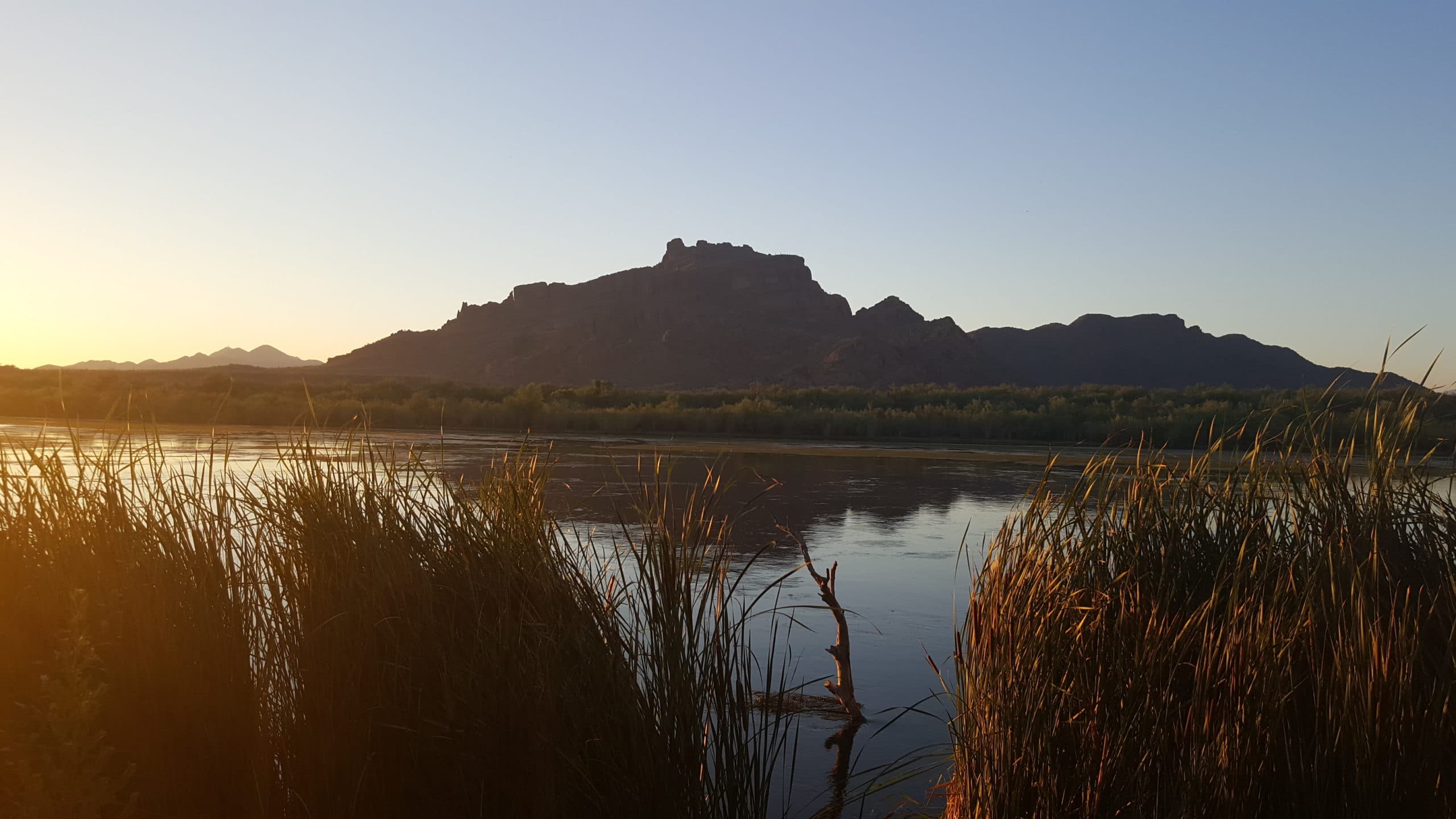 Salt River, Mesa, AZ