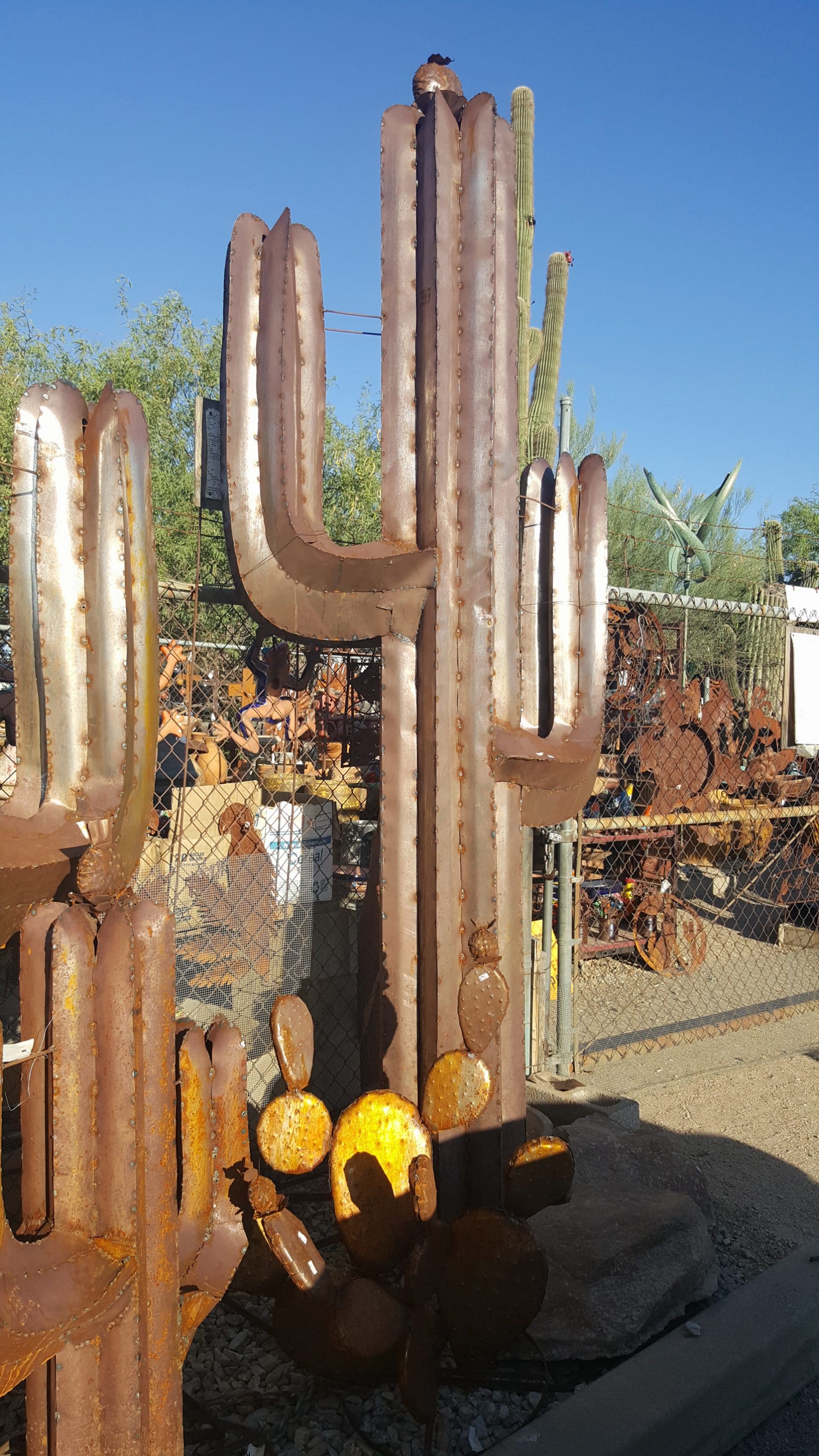 Cave Creek, Arizona